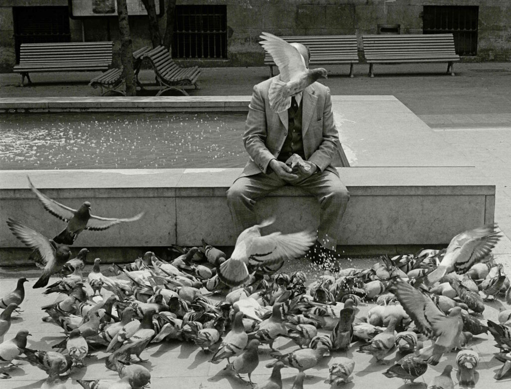 Man and doves